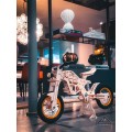 Apoyii Moonwalker Tora Balance Bicycle Apoyii Moonwalker Tora Balance Bicycle